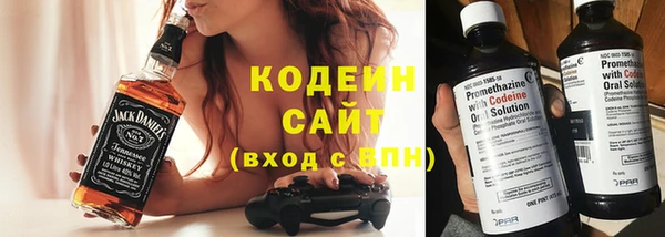 прущие грибы Балахна