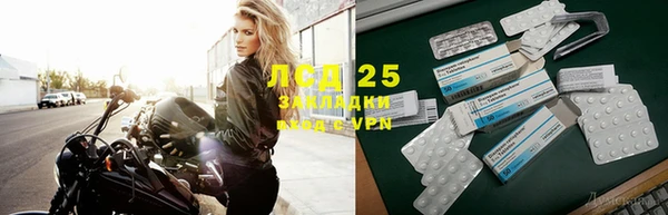 ПСИЛОЦИБИНОВЫЕ ГРИБЫ Баксан