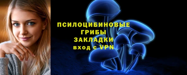 прущие грибы Балахна