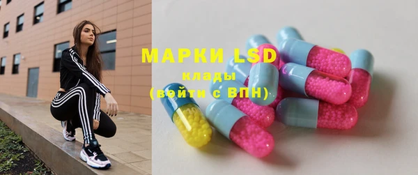 ПСИЛОЦИБИНОВЫЕ ГРИБЫ Баксан