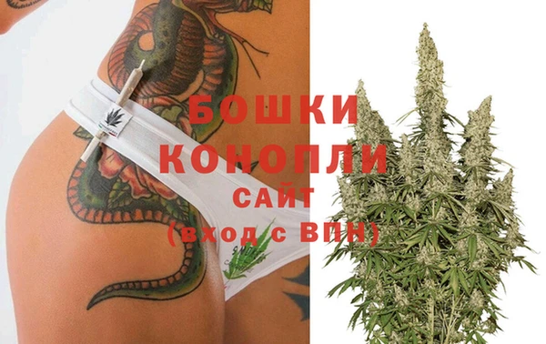 ПСИЛОЦИБИНОВЫЕ ГРИБЫ Баксан