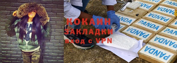прущие грибы Балахна