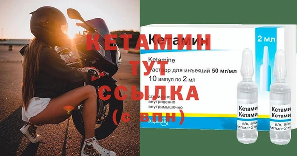 прущие грибы Балахна